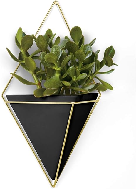 Umbra Trigg Hanging Planter Vase & Geometric Wall Decor Ceramic Container - Great For Succulent Plants, Air Plant, Mini Cactus, Faux Plants and More, Large, Black/Brass