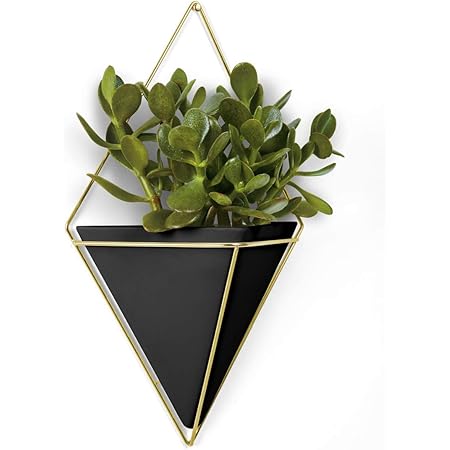 Jardinière suspendue Triflora de Umbra noire - ensemble de 5 - Brick