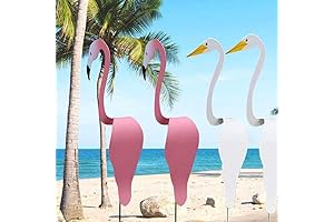 Dancing Bobbing Bird