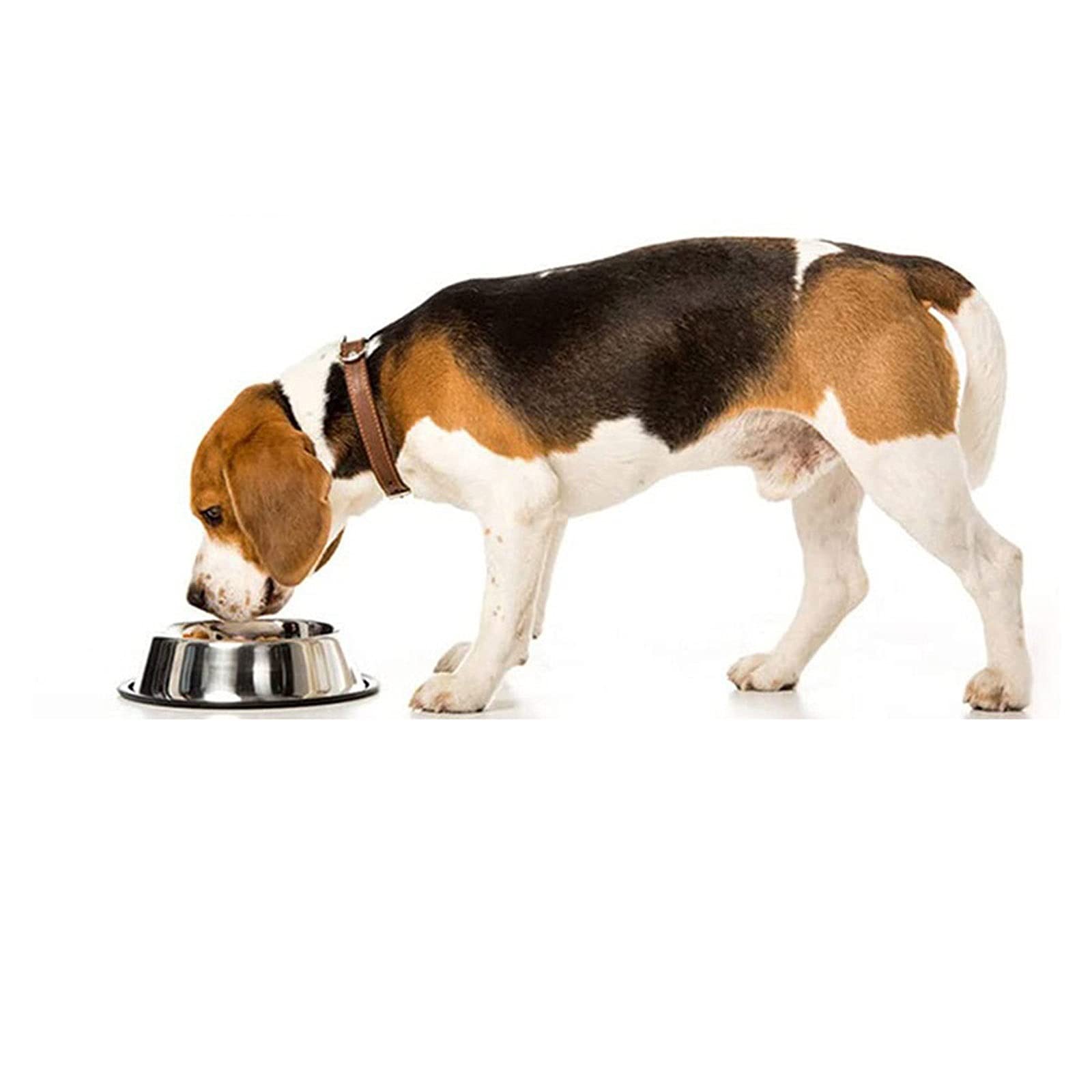 RTHGTFGW Comedero Perro Cuenco de Perros de Acero Inoxidable Espesado Alimentador for Mascotas de Alimentos Ultra duraderos for pequeños Perros medianos Base de Goma Antideslizantes (Size : L)
