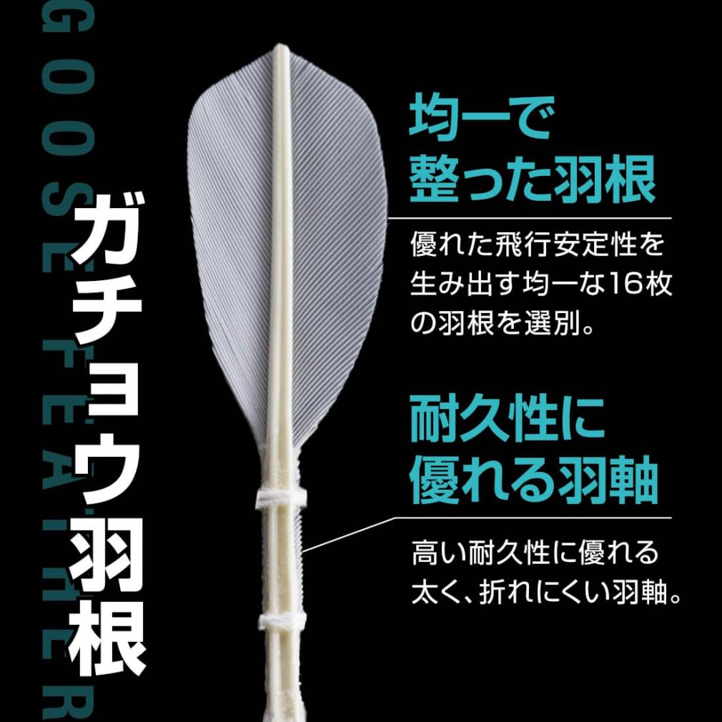 Amazon | [ティゴラ] バドミントン 練習用シャトル 水鳥羽根シャトル