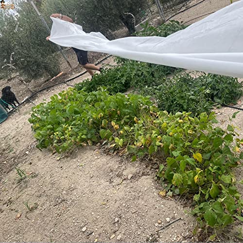 BricoLoco.com Thermal Anti-Frost Mesh Blanket for Plants Crops, Garden, Geotextile Fabric Winter Frost Protection, Cold - Image 3