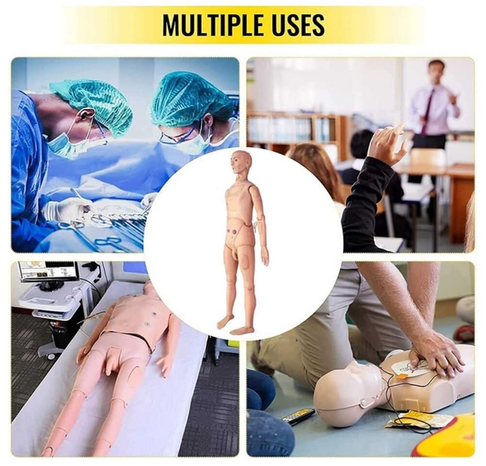 Medizinische Trainingspuppe aus PVC, Lehrpuppe für medizinische Ausbildung, Modell Mann & Frau, für den Unterricht an der Krankenpflegeschule, 170 cm
