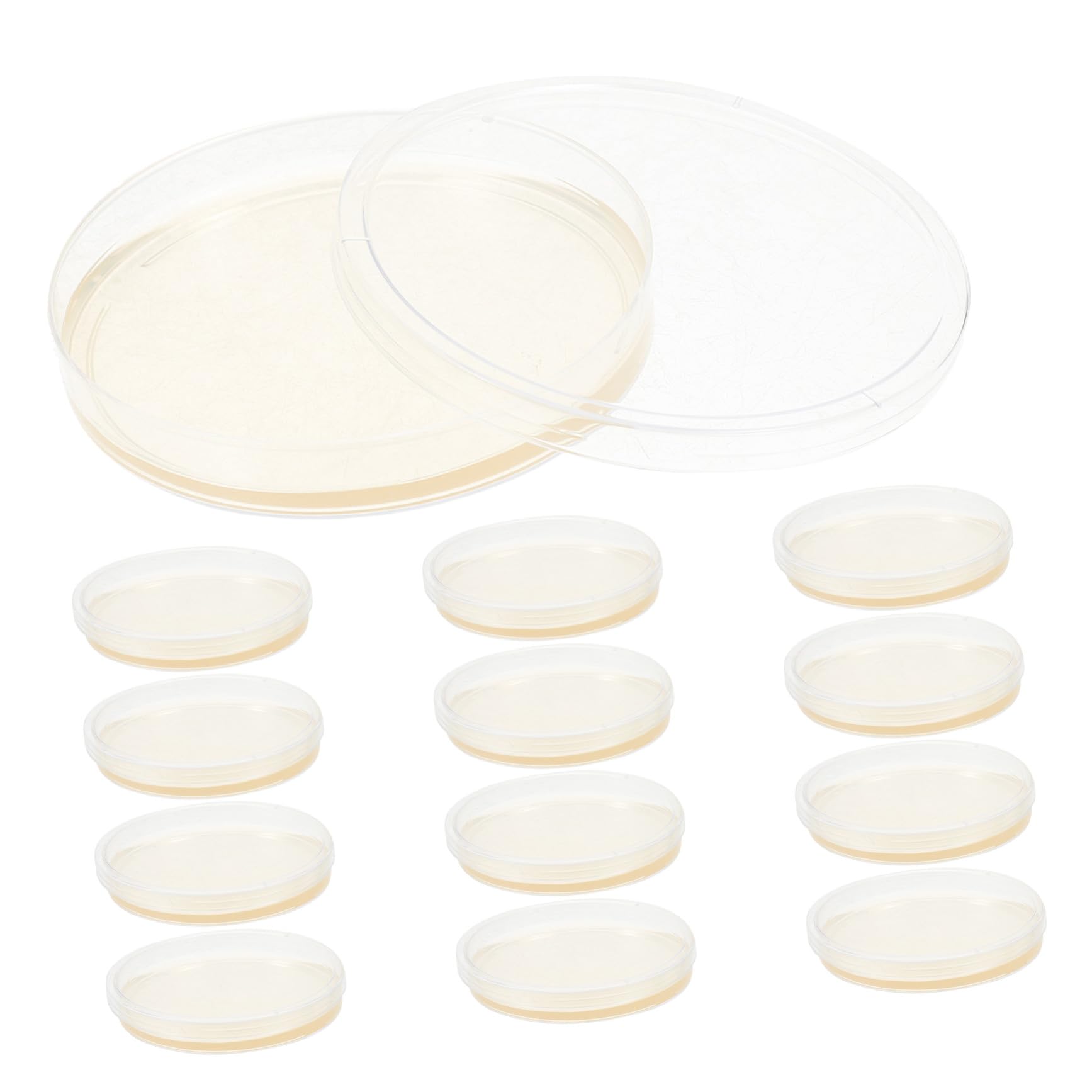 20 Placas Estériles de Petri de Plástico Agar Nutritivo Lb de 9 CM, para Uso en Investigación Microbiológica y Actividades Educativas en Laboratorio