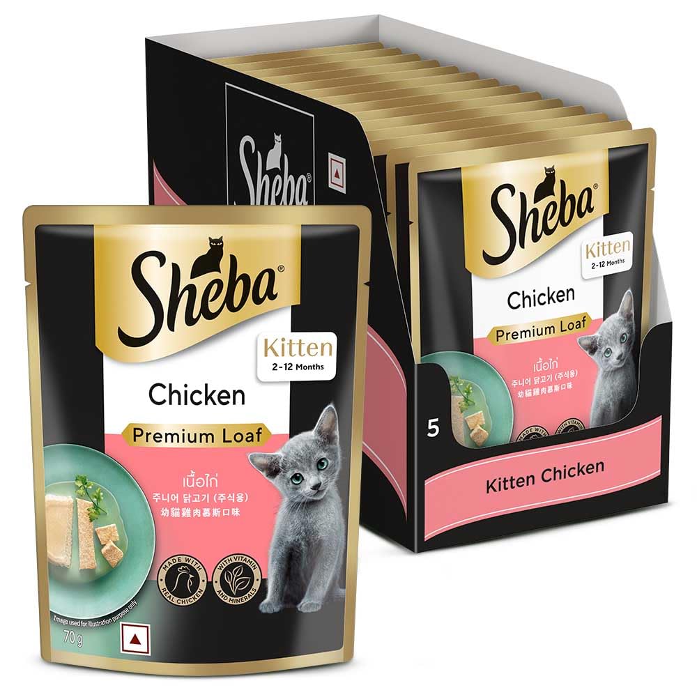Sheba Fine Premium Kitten (2-12 Months) Wet Cat Food, Chicken Premium Loaf, 70 g Pouch (Pack of 14), High-Moisture Gravy Kitten cat Food for Healthy Hydration