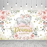 Pink Floral Elephant Baby Shower Banner Baby Girl Elephant Baby Shower Backdrop A Sweet Little Peanu