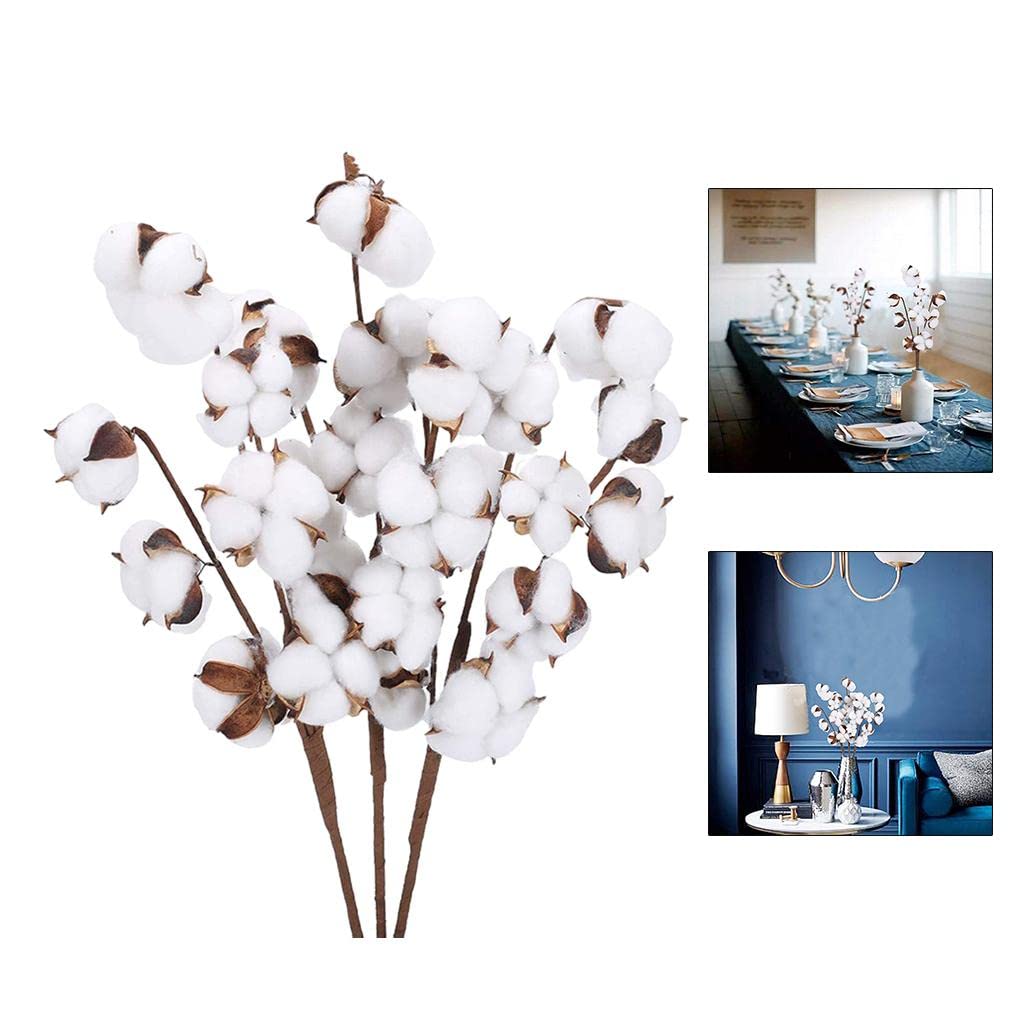 Natural Dried Cotton Flower Stem Floral Branch for Home Decor 7 Bolls 6pcs | Home & Garden | Home Déco | Floral Déco-image-34