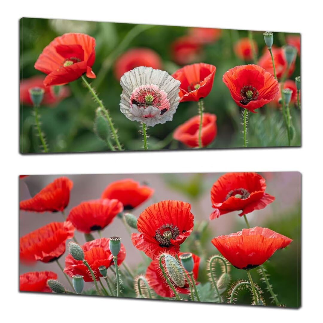 2 Pezzi papavero Pittura Diamante, 5D Diamond Painting fiore, 40x90cm Diamond Painting Grandi Dimensioni, Strass Ricamo a Punto Croce Kit Diamond Painting per Decorazioni Natalizie Casa e Regalo Z-3