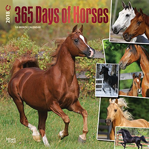 365 Days of Horses 2018 12 x 12 Inch Monthly Square Wall Calendar with Foil Stamped Cover, Animals Horses Equestrian