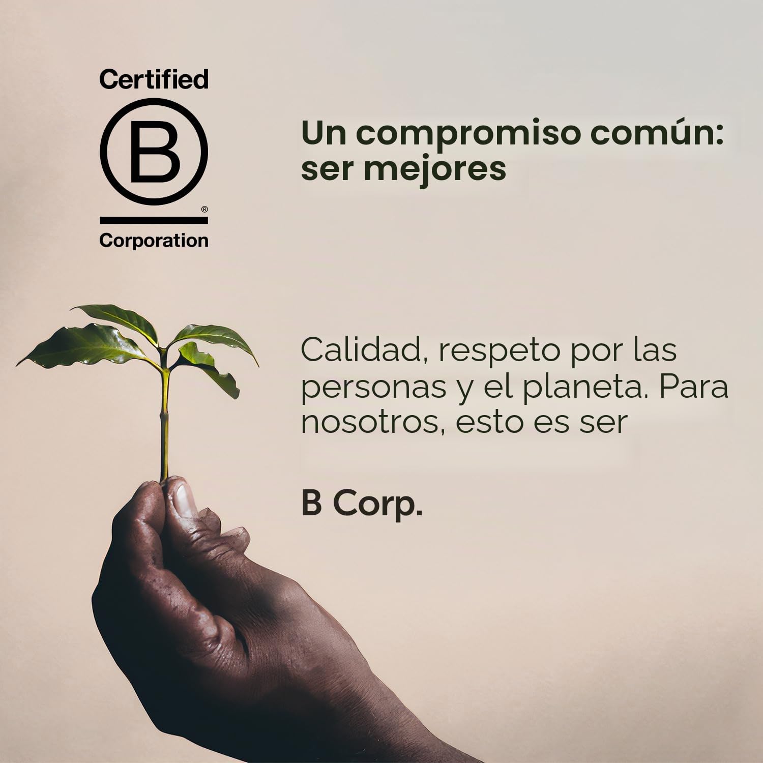 Illy Café en grano Torrefié Arábica Selección Etiopía, 6 cajas de 250 g