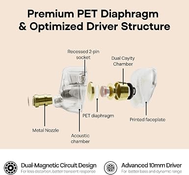 Linsoul TANGZU Wan'er S.G 10mm DD Driver PET Diaphragm IEM, Recessed 2Pin