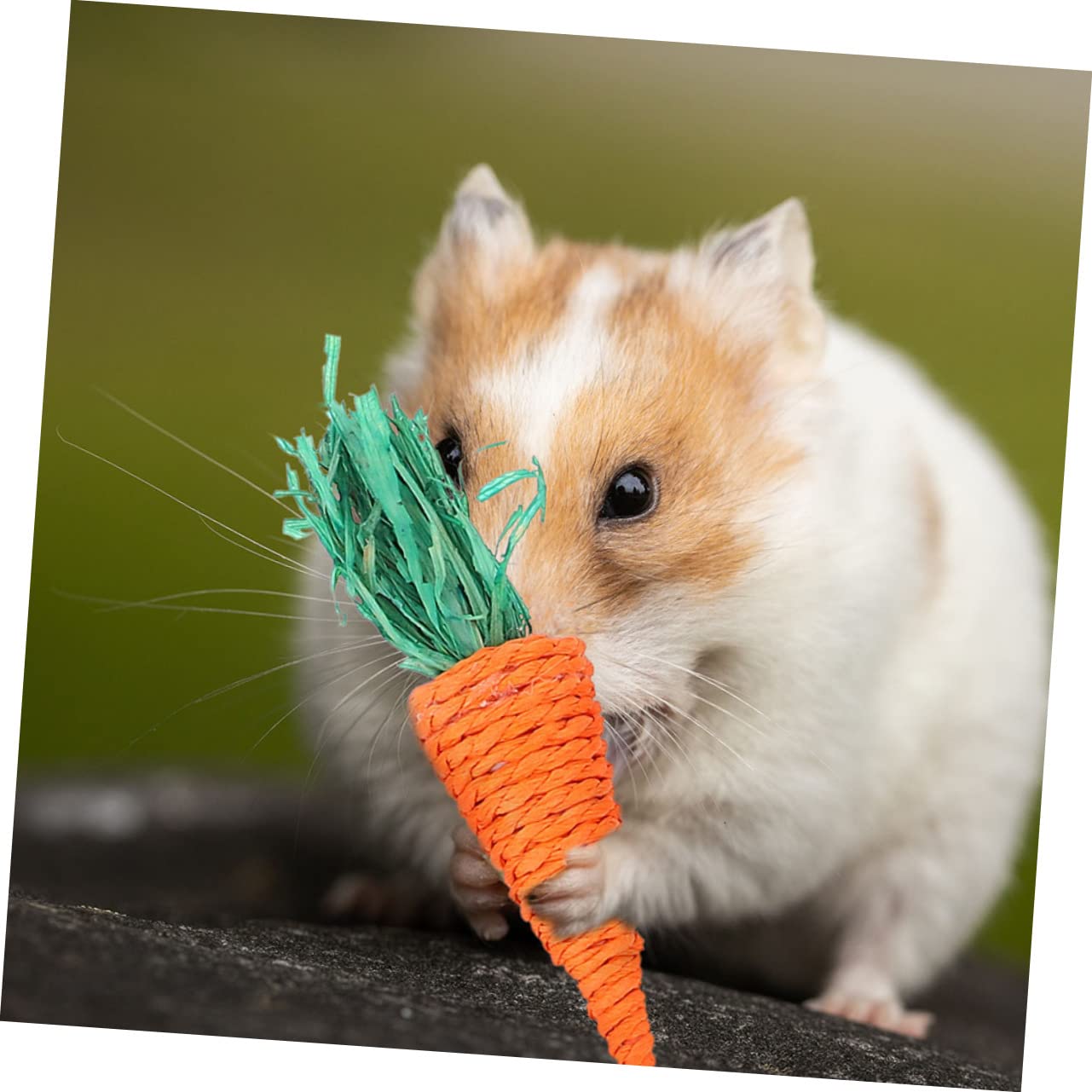 INOOMP 36piezas Juguetes para Hámster Juguetes Masticables para Roedores Diversión y Enriquecimiento para Conejos y Chinchillas