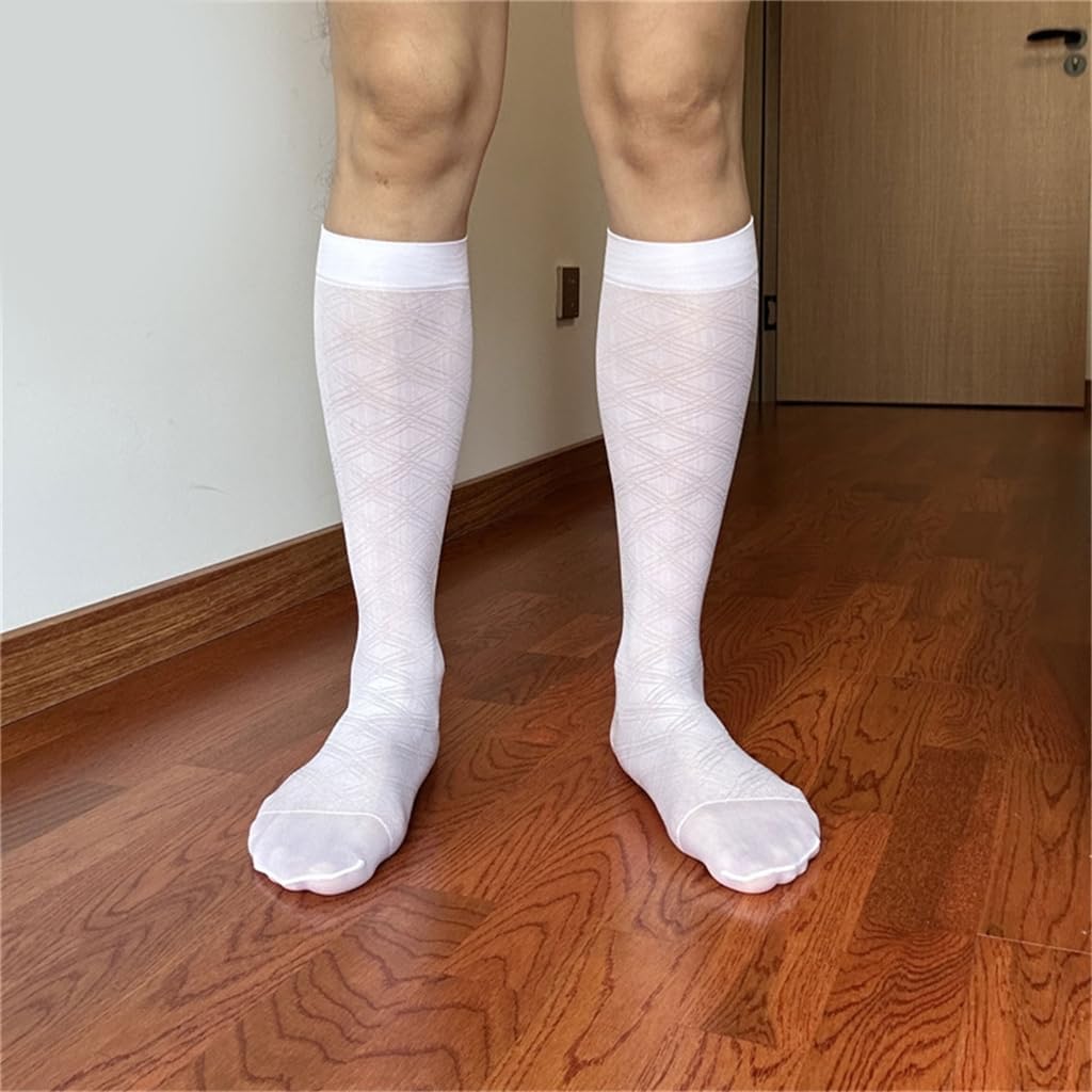 Men's Thin Sheer Nylon Dress Socks Elegant Argyle Pattern Middle Calf Socks for Business Suit and Formal
