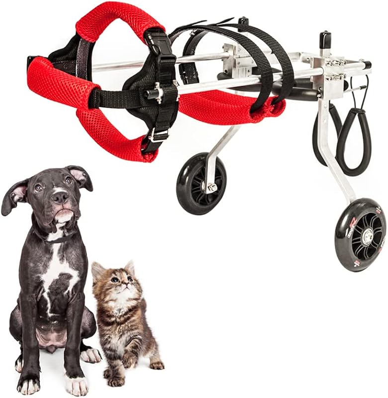 Silla de ruedas para perros, ruedas ajustables para ejercicios de animales, carrito, silla de ruedas para mascotas para patas traseras discapacitadas, paseo para mascotas pequeñas/gatos/perros