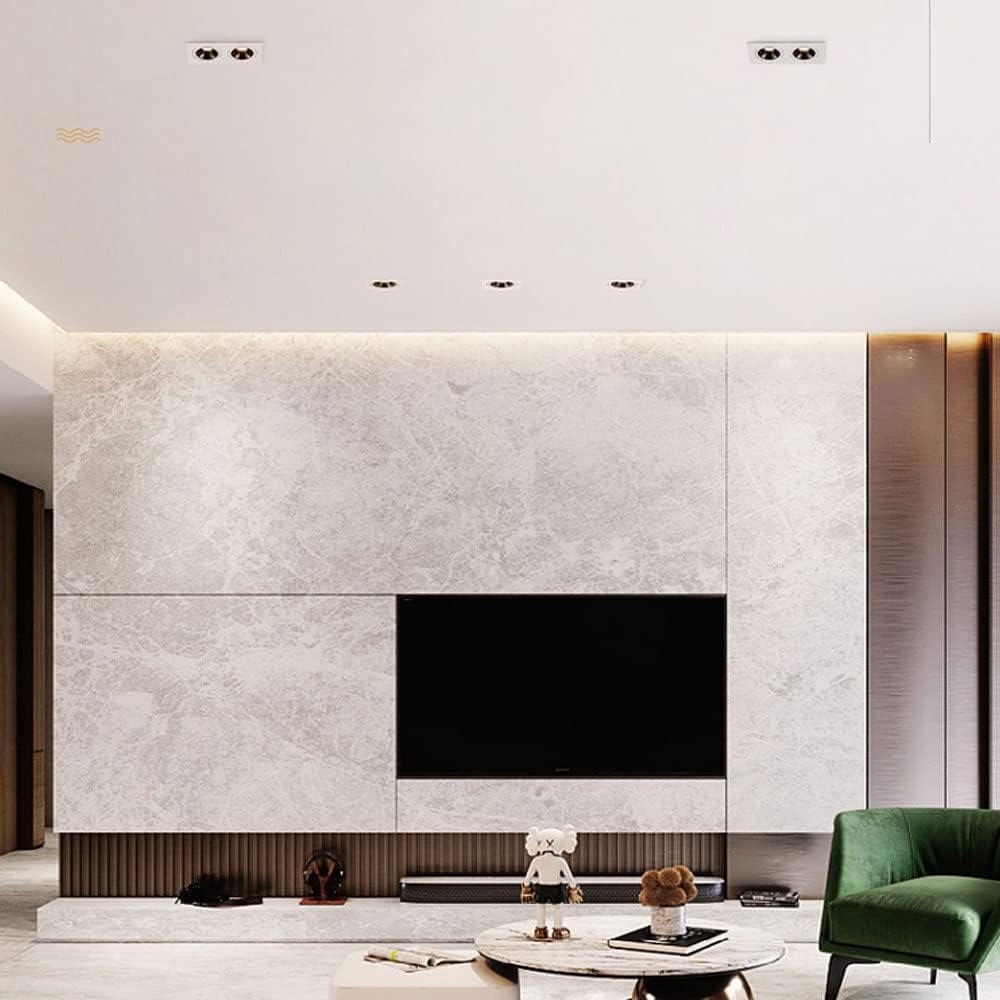 TCHAU Focos de doble cabeza Led Embebido Antideslumbrante Decoración del hotel Sala de estar Luces en negrita Rejilla rectangular Luces de techo sin propietario
