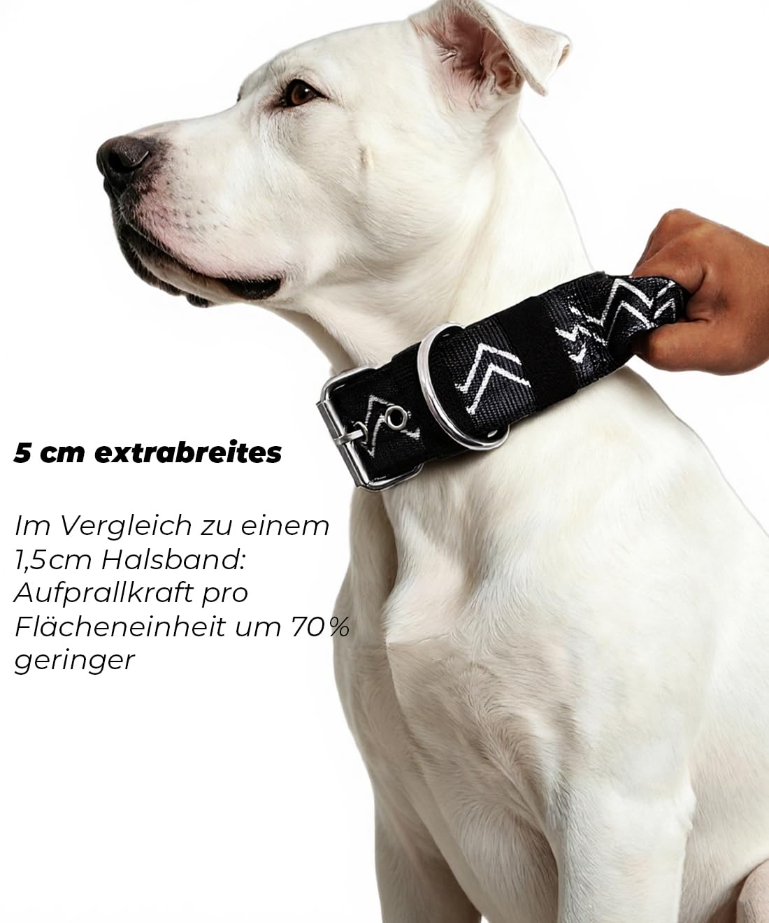 NeckShield - Collare per cani di grandi dimensioni, largo 5 cm, con imbottitura extra spessa e maniglia, protezione professionale, 58-66 cm, nero carbonio