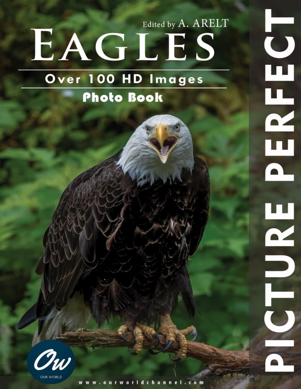 Eagles: Picture Perfect : Photo Book