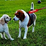 Protective Dog Leash Sleeve - Stay Back Protective Dog Leash Wrap - Alert Hanging ID Patch Tag Pet Birthday Gift