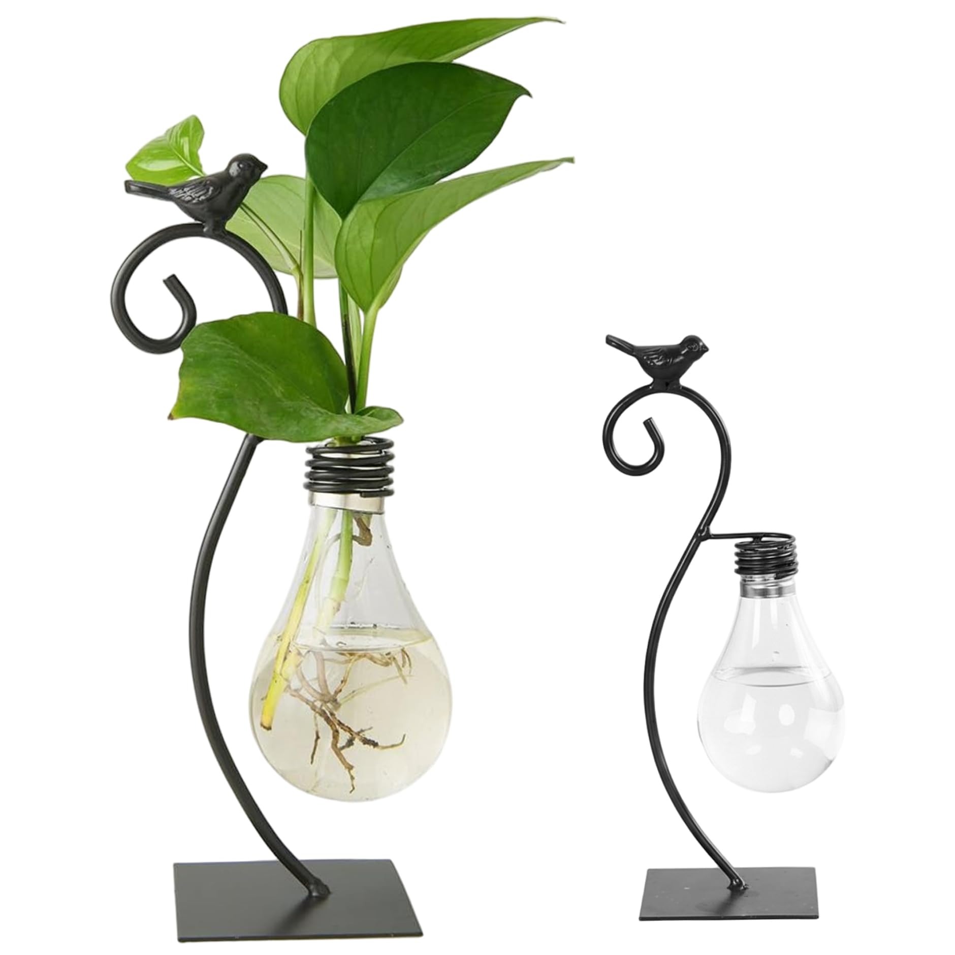 Vase hydroponique incassable : station de propagation stable pour boutures et jardinière à air