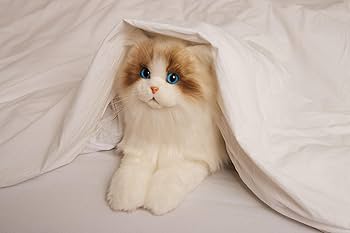 Amazon.co.jp: 猫 ぬいぐるみ リアル手作ぬいぐるみ本物のサイズは、猫