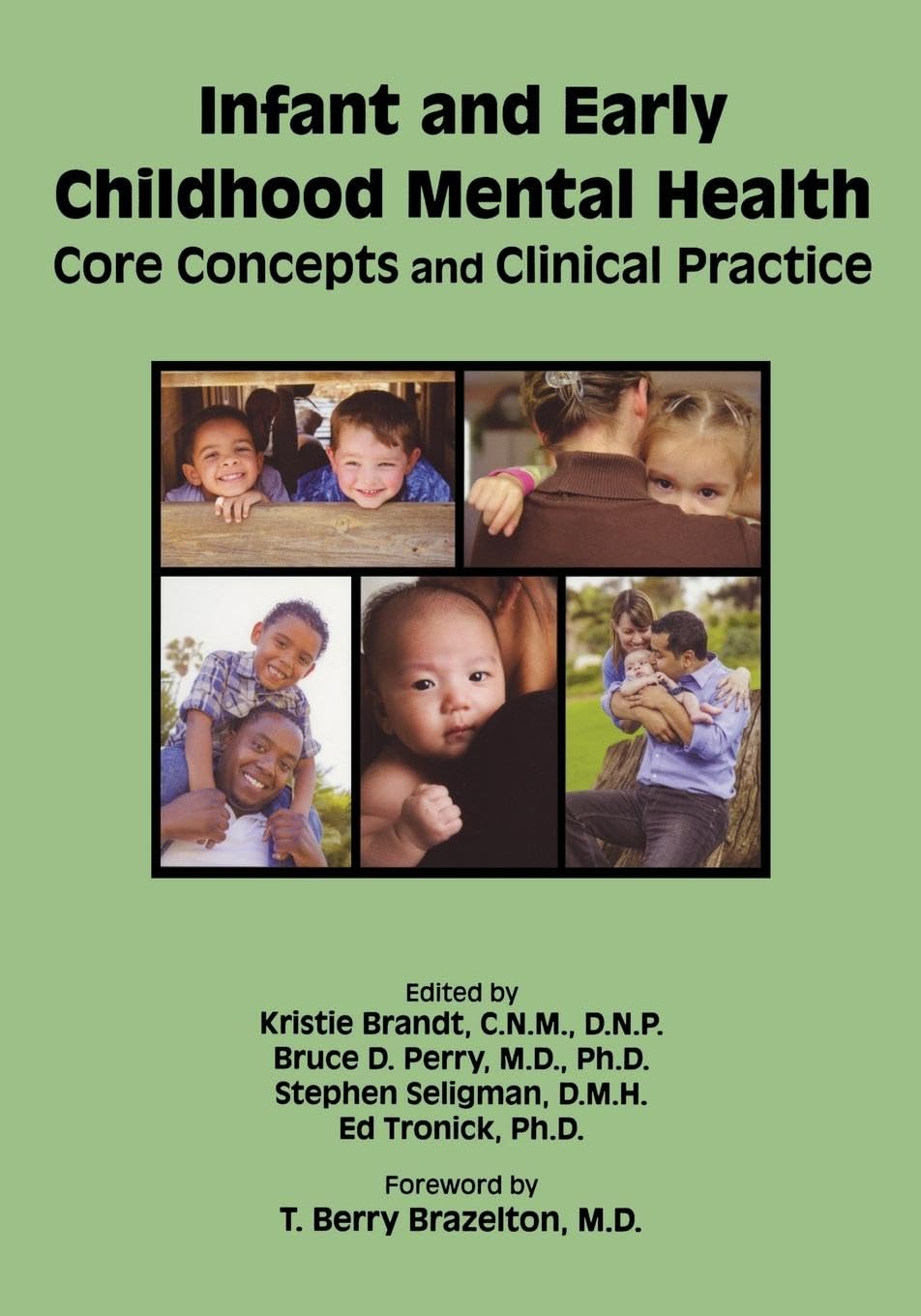 Infant and Early Childhood Mental Health: Core by Kristie Brandt PAPERBACK