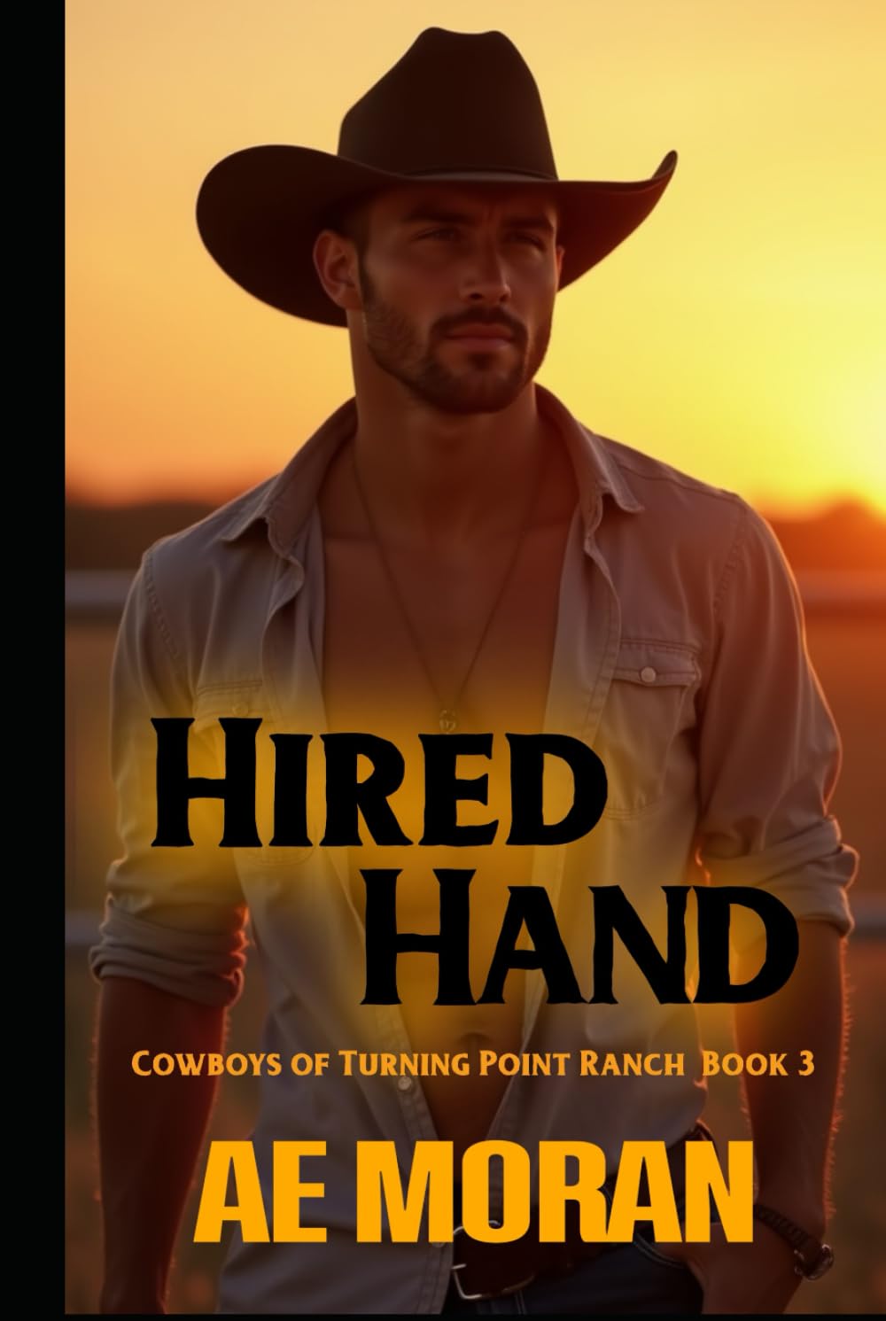 Hired Hand: A Steamy Contemporary Cowboy Western Alpha Male Workplace Romance (Cowboys of Turning Point Ranch Series)