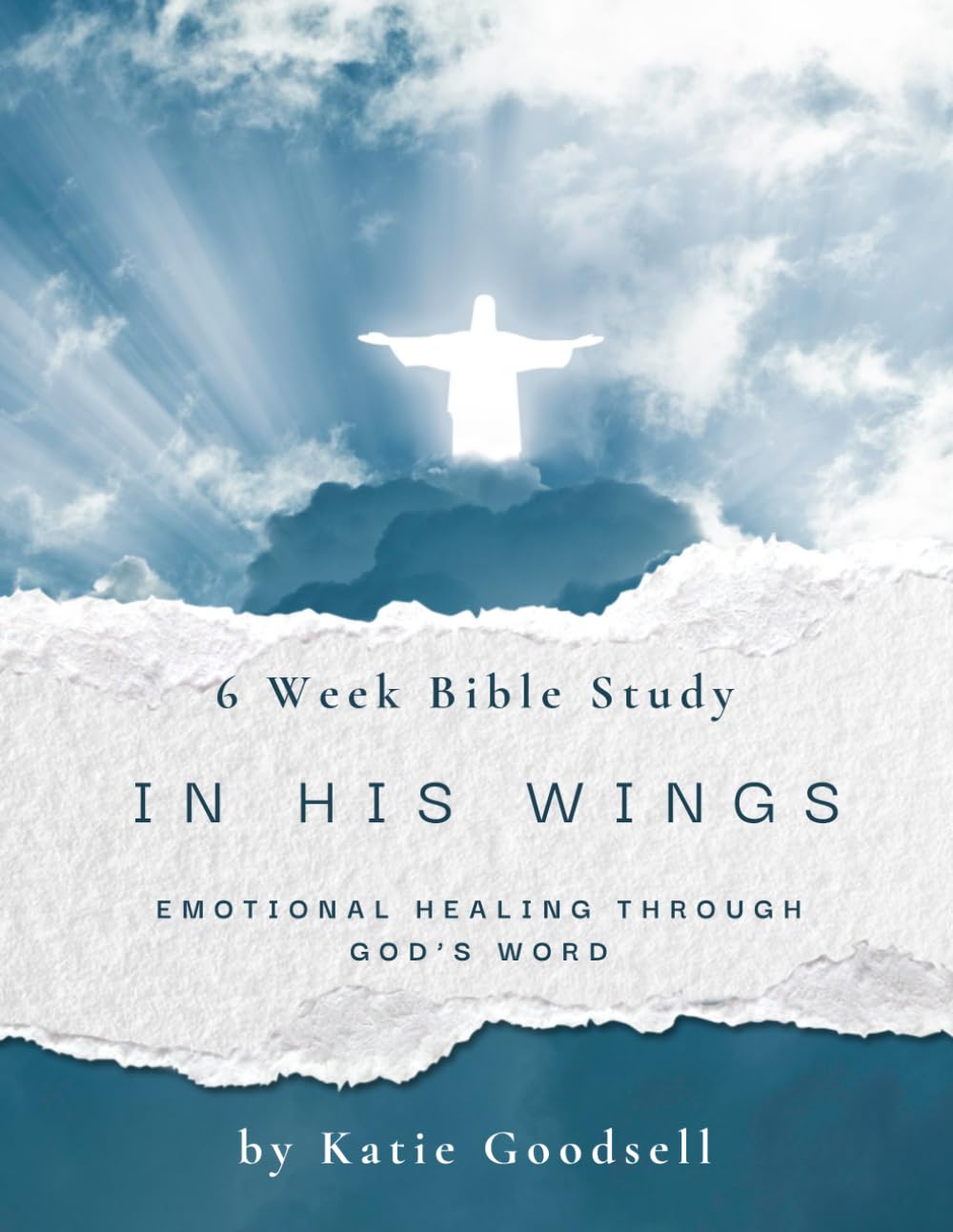 IN HIS WINGS: Emotional Healing Through God’s Word
