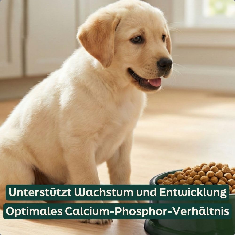 Welpenfutter Krokant 18kg | Trockenfutter Welpen & Junior mit Huhn | 32% Protein, weizenfrei, für alle Rassen bis 12 Monate