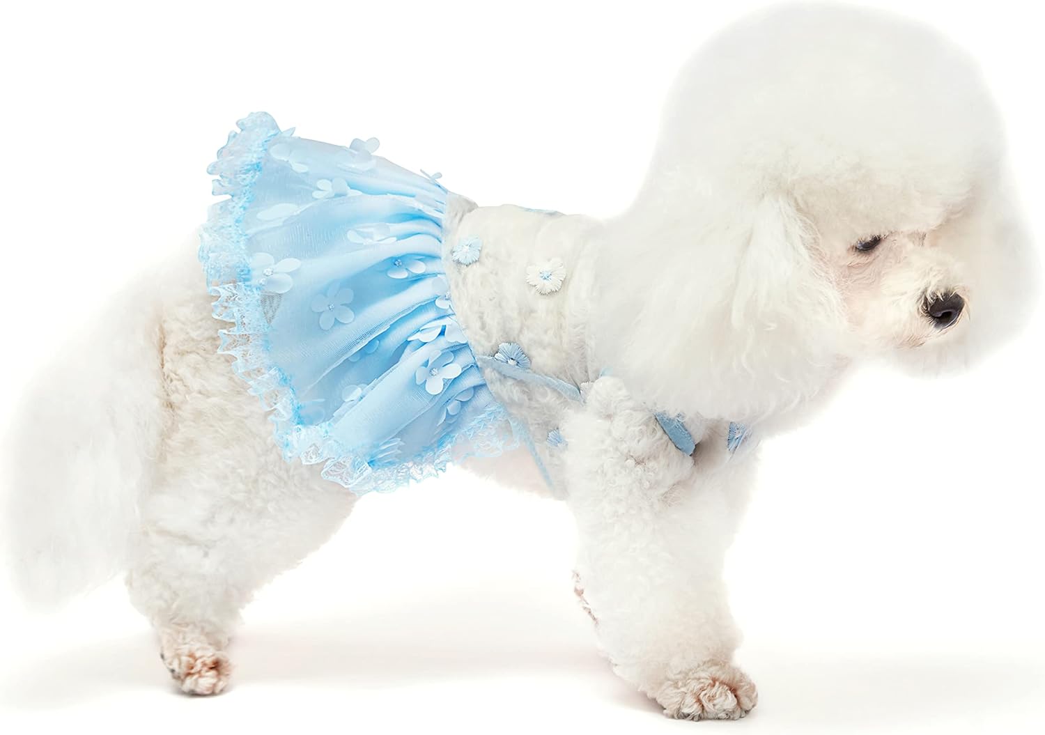 Dogs Wedding Dresses Flower Tutu Skirt with Detachable Train for Small Medium Dog Pet Outfit Formal Apparel Princess Clothes for Birthday Party Costume (Blue Set, M)