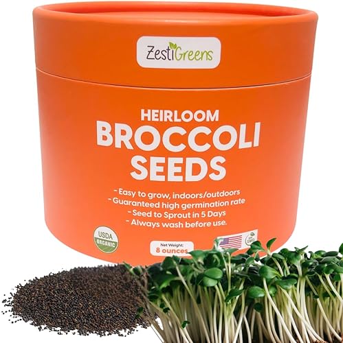Semillas de brotes de brócoli y microverdes, orgánicas, sin OMG, semillas de germen de reliquia en recipiente resellable a granel para cultivar