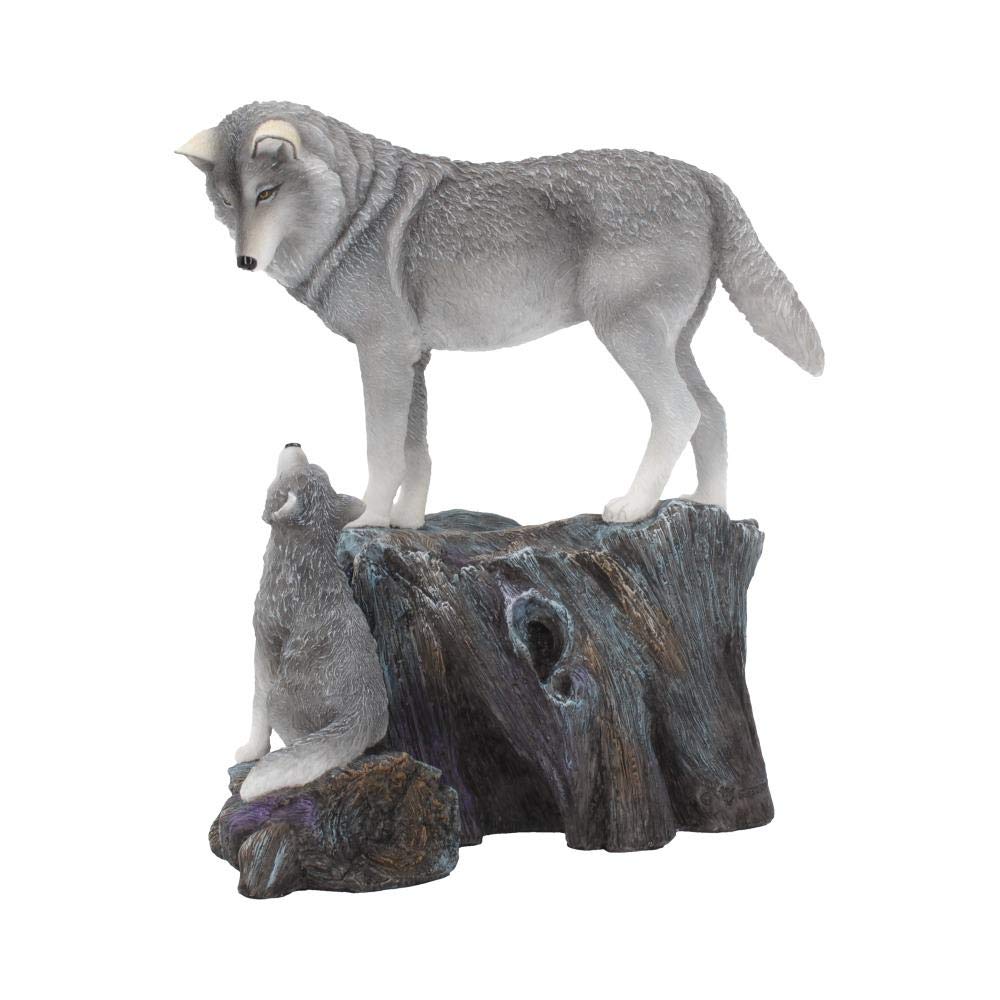 Nemesis Now Guidance - Statuetta Lisa Parker, 25 cm, in resina, grigio