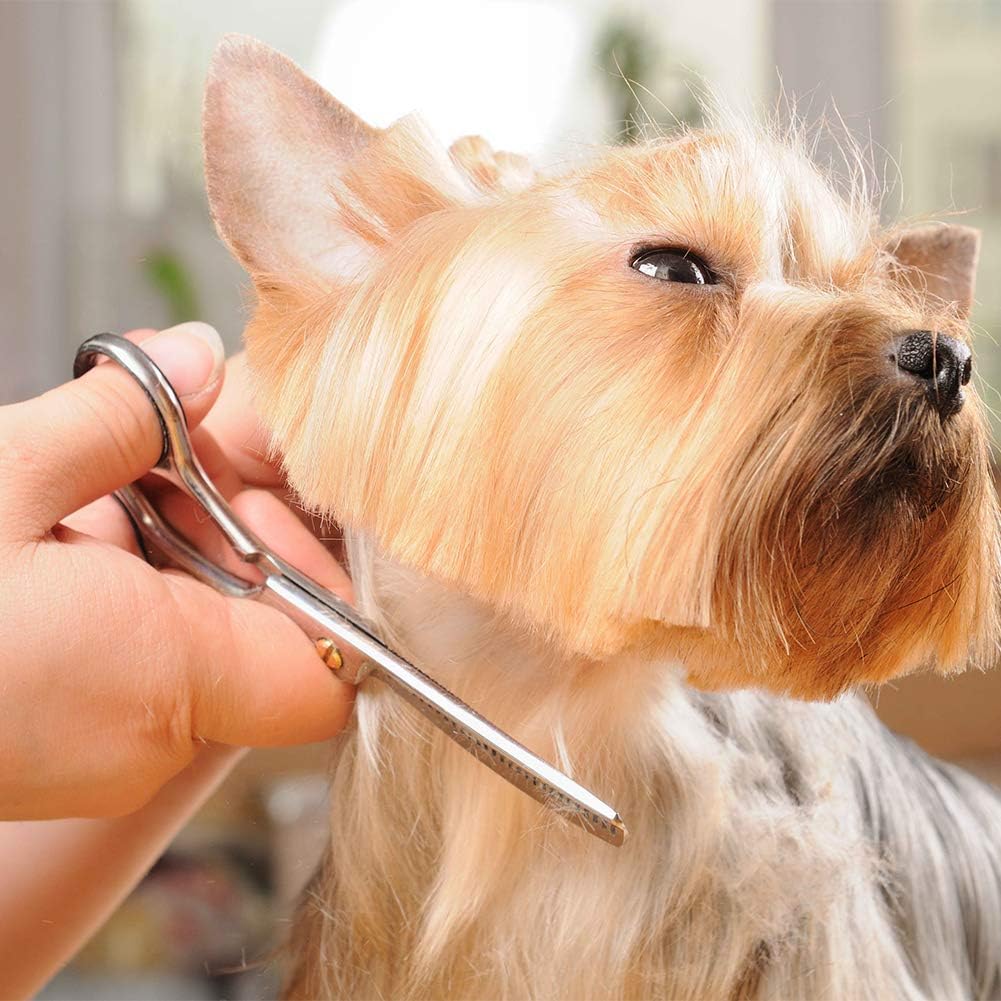 Professional 12PCS Hair Cutting Scissors Kit Men,Haircut Kit,Hairdressing Scissors Kit, Hair Thinning Shears Hair Cutting Comb, Clips,Barber Brush Cape Home Salon Barber Kit for Men Women Adults Kids