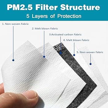 PM2.5 Activated Carbon Mask Filters (100-Pack) | TheChive University