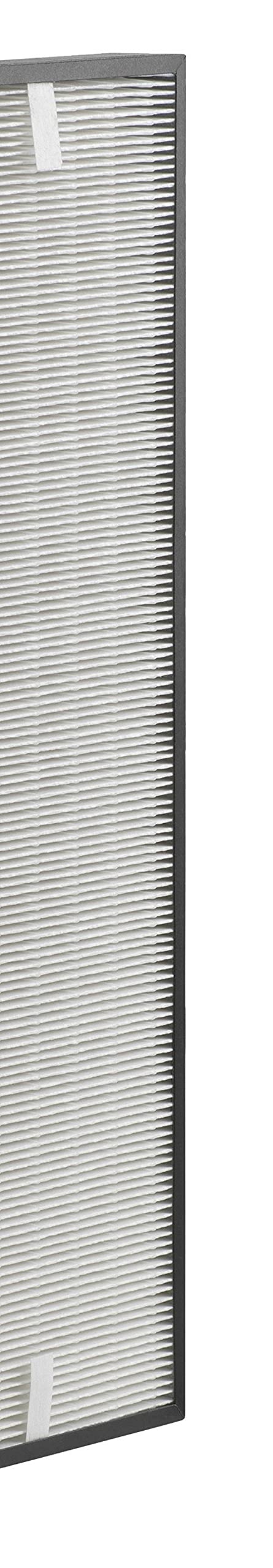 Rowenta Filtro Hepa XD6070ES - Filtro Recambio Hepa para Purificador Rowenta Air Intense PU4020