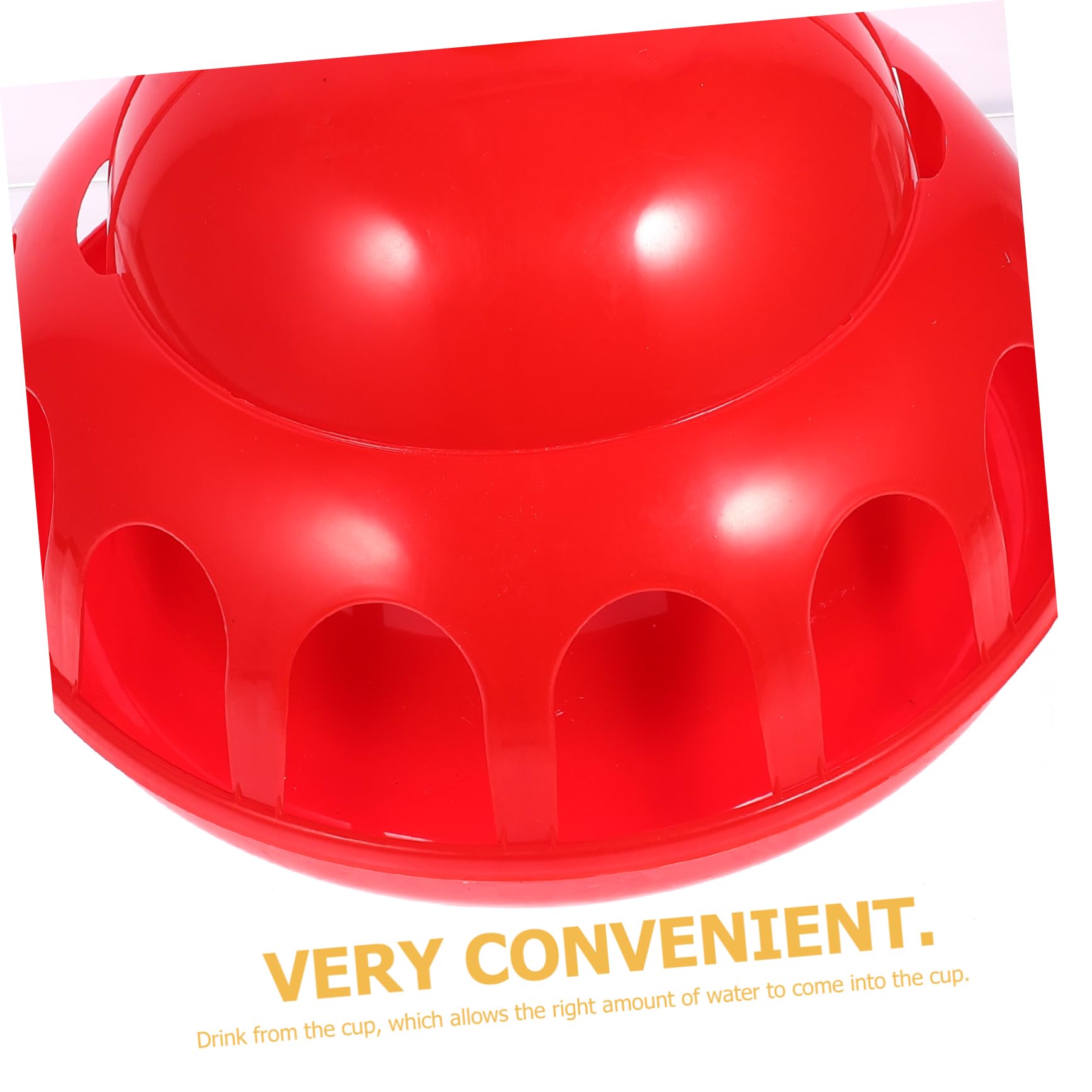 Toyvian 1pezzi Distributore Per Animali Domestici Abbeveratoio Per Piccioni e Quaglie Abbeveraggio Per Pollame Facile Da Usare Per Allevamento e