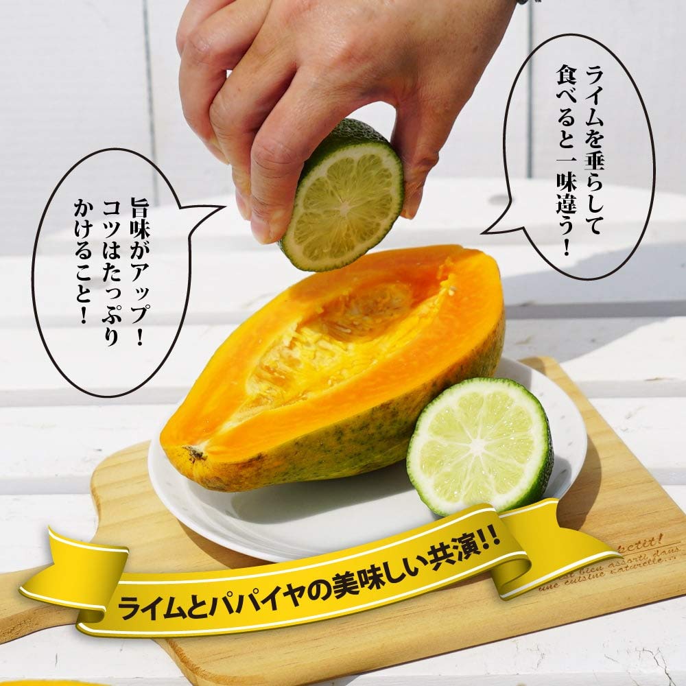 Amazon.co.jp: ライム 苗木 【タヒチライム】 3年生接木大苗 【産地で