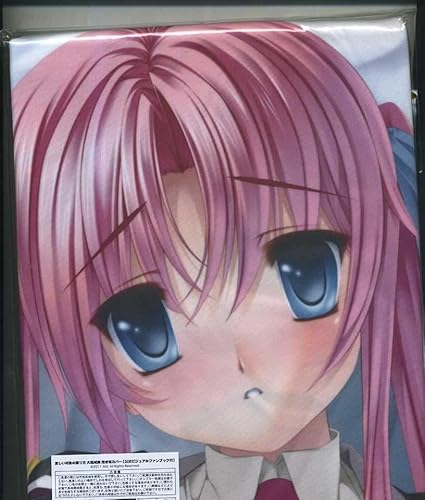 �`�w�k �������Ώۂ̌��� �勏���� �������J�o�[ ���V�{�v�j