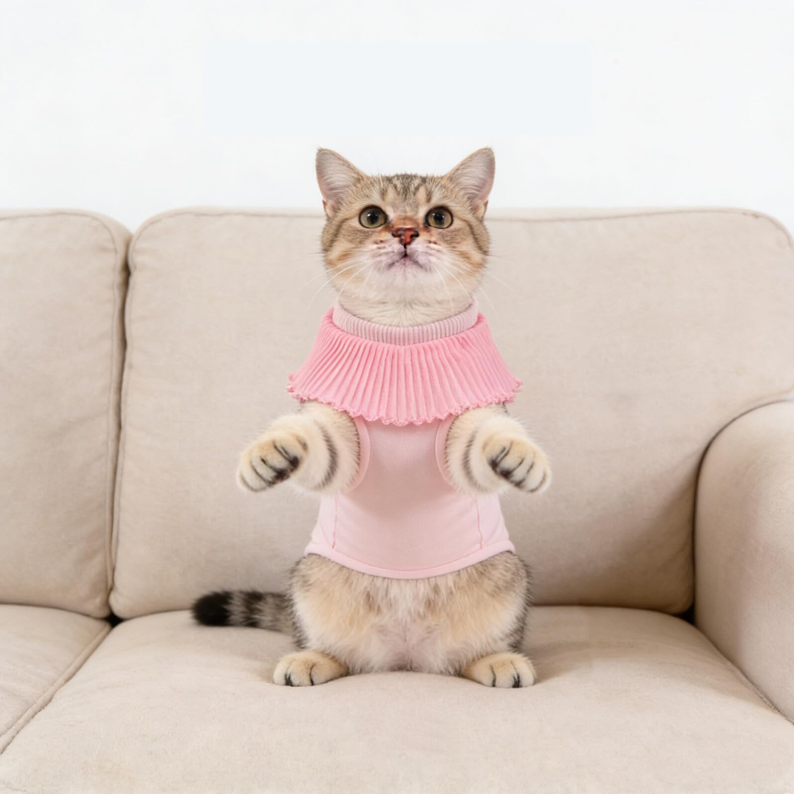 Abaodam Op Anzug für Katzen Atmungsaktiver Ganzkörper Genesungsanzug Elastischer Op Body für Kätzchen nach Kastration Rosa (s) Schutz vor Wundlecken und Hautirritationen
