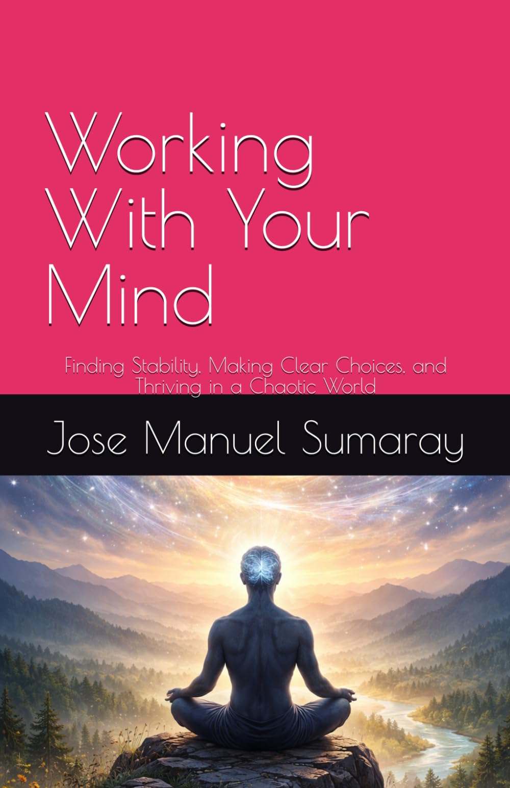 Working With Your Mind: Finding Stability, Making Clear Choices, and Thriving in a Chaotic World