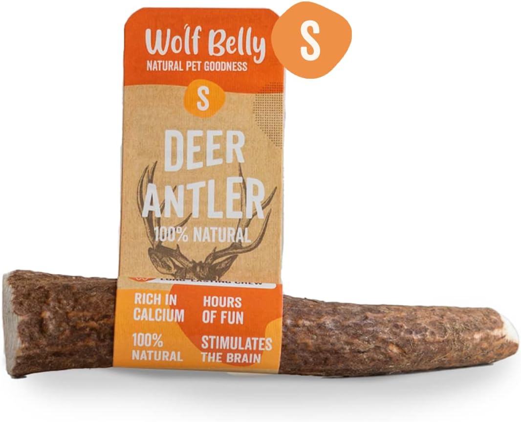 Mordedor Asta de Ciervo para Perros - Talla S - Calma Estrés y la Ansiedad - Cuerno de Ciervo 100% Natural - Reduce el Sarro y la Placa - Juguete para Perro - Happy Chew Wolf Belly