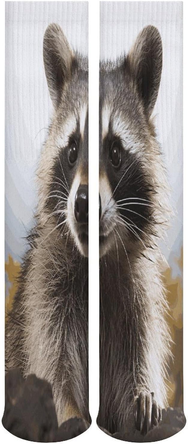 Hairy Raccoon Knee High Socks Cozy Knee High Socks Soft Mid-Length Sock for All Seasons Daily Wear Adult