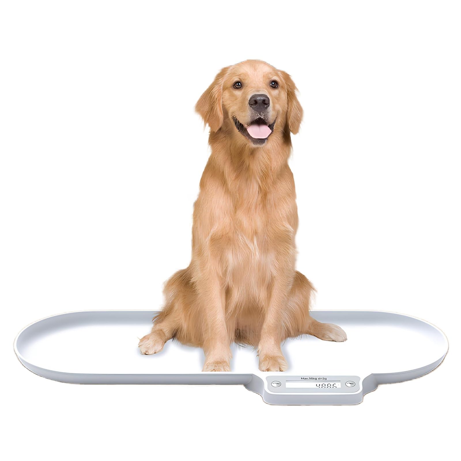 犬用体重計 健康管理 30kgまで Amazon.co.jp: ペット体重計 大型犬体重計 獣医用の犬用体重計