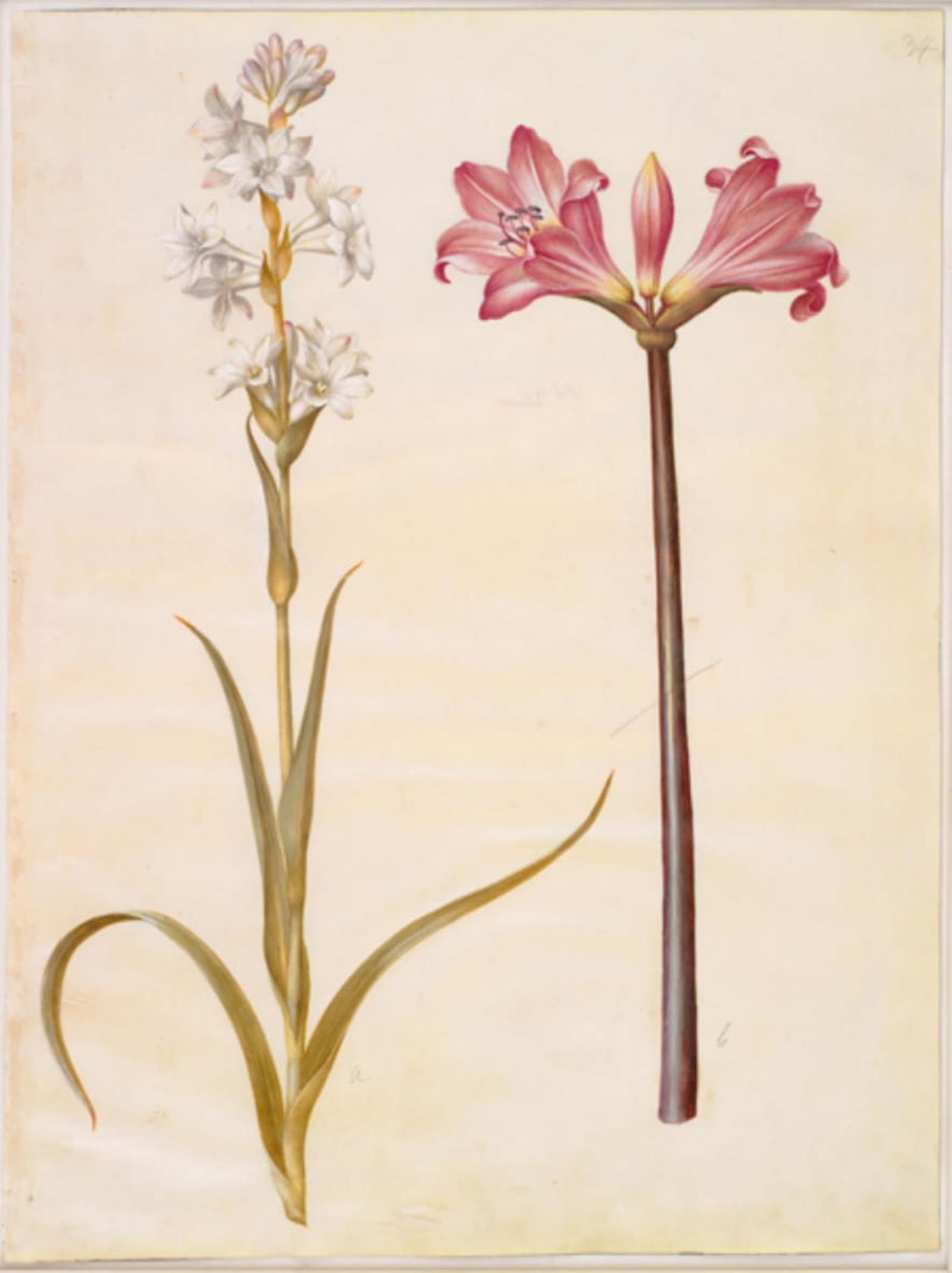 Cuadro de Hans Simon Holtzbecker, lienzo de flores 60x90cm para un comedor elegante 5