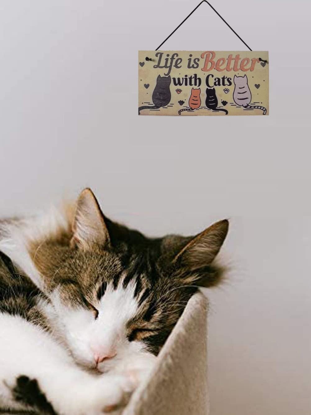 Targa in legno per porta di gatto, decorazione da appendere