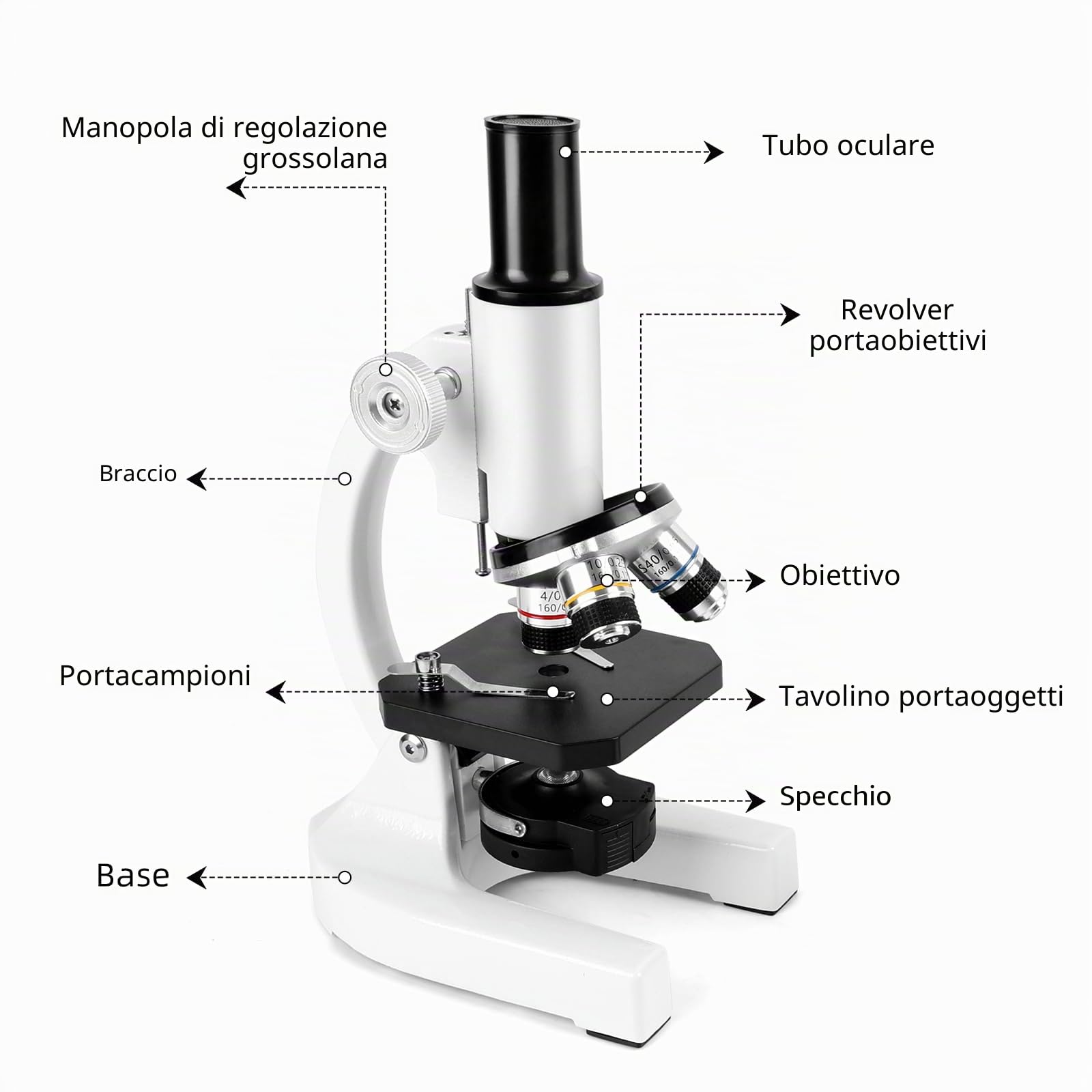 40-2000x microscopio in metallo professionale per adulti e bambini, con oculari 10x e 25x, 4x 10x 40x obiettivi, 2x lenti e set di accessori, ideale per biologia e metallurgia