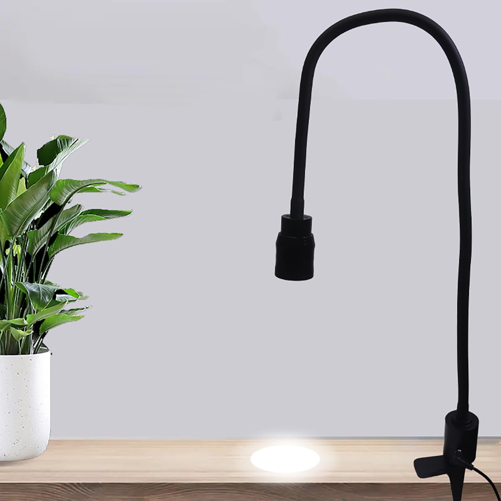 Lampe D'Examen MéDical 5W Lampe D'Examen MéDical Portable à Led, Lampe D'Examen Chirurgicale à Pince De Table Avec Col De Cygne Flexible, Pour GynéCologie, Ophtalmologie, Tatouage