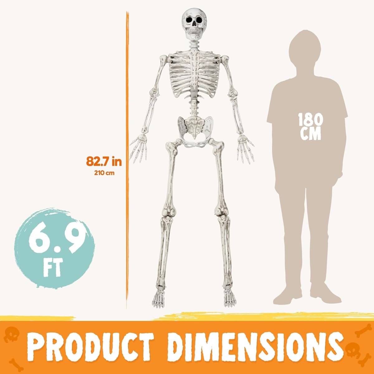 locwanot 170 cm Halloween skelet, levensgrote plastic full body menselijke botten met beweegbare gewrichten voor patio tuin feest rekwisiet, binnen