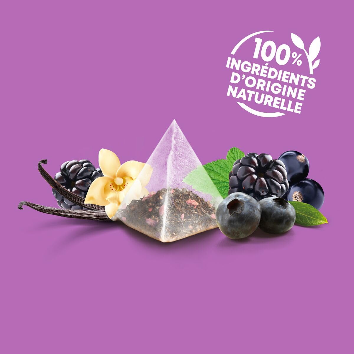Infusion Elephant Myrtille, Cassis & Vanille : une expérience gustative naturelle et éthique.