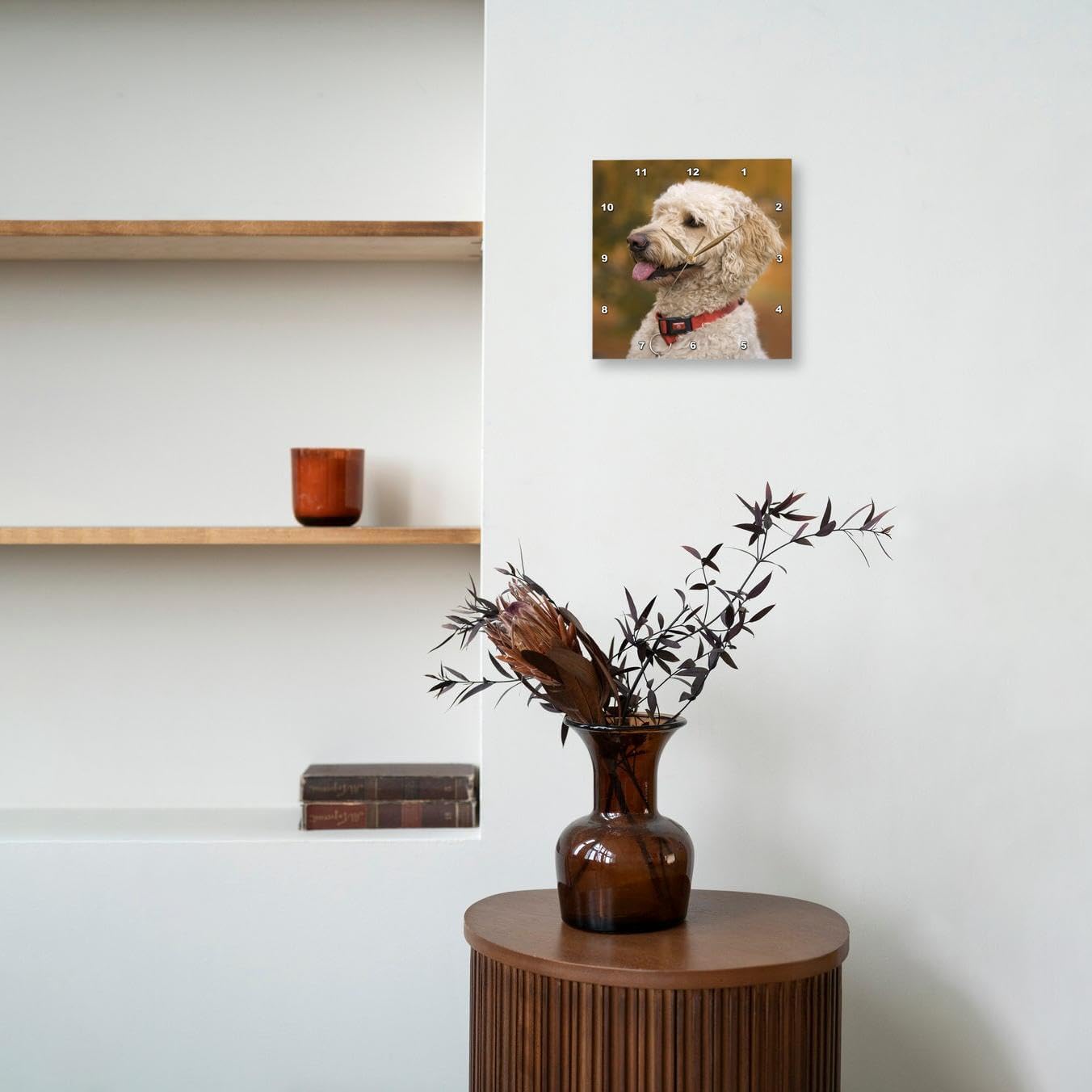 3dRose DPP_90839_2 Massachusetts, Reading, Labradoodle Dog - US22 JEN0071 - Jim Engelbrecht - Wall Clock, 13 by 13-Inch