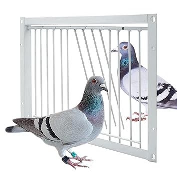 Junniu Pigeon Entrance Door Iron Wire White Bird Cage Door One Way Trap Bird Breeding Supplies Pigeon Racing Supply For Birdcages